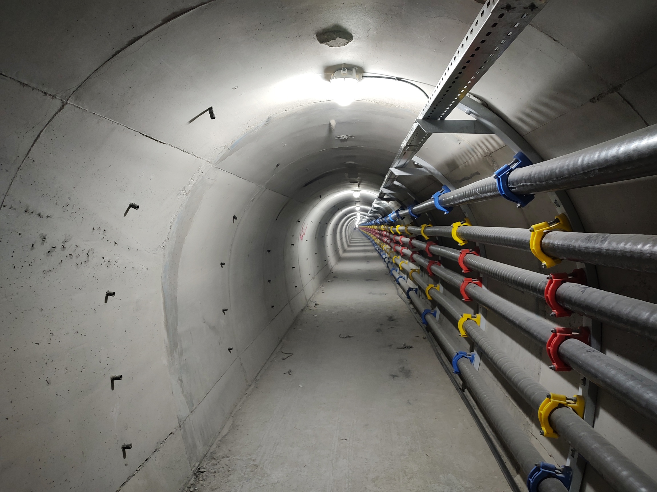 IMG_20231130_110814212